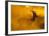 Impala, Moremi Game Reserve, Botswana-Paul Souders-Framed Photographic Print