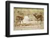 Impala, Nxai Pan National Park, Botswana-Paul Souders-Framed Photographic Print