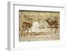 Impala, Nxai Pan National Park, Botswana-Paul Souders-Framed Photographic Print