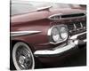 Impala Red-Richard James-Stretched Canvas