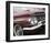 Impala Red-Richard James-Framed Art Print