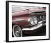 Impala Red-Richard James-Framed Art Print