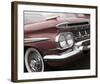 Impala Red-Richard James-Framed Art Print