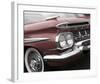 Impala Red-Richard James-Framed Art Print