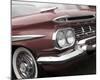 Impala Red-Richard James-Mounted Art Print