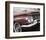 Impala Red-Richard James-Framed Art Print