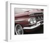 Impala Red-Richard James-Framed Art Print