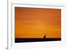 Impala Silhouette at Sunrise-Paul Souders-Framed Photographic Print