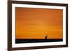 Impala Silhouette at Sunrise-Paul Souders-Framed Photographic Print