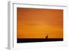 Impala Silhouette at Sunrise-Paul Souders-Framed Photographic Print