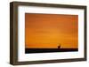 Impala Silhouette at Sunrise-Paul Souders-Framed Photographic Print