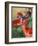 Impala, Tanzania-David Northcott-Framed Photographic Print