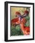 Impala, Tanzania-David Northcott-Framed Photographic Print