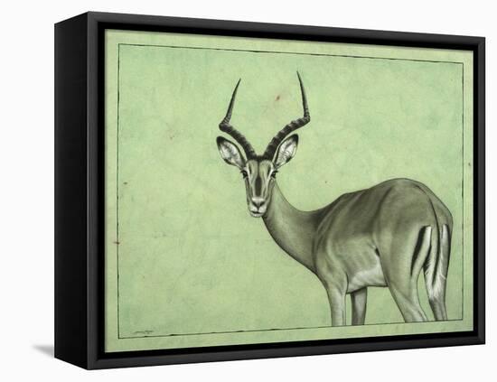 Impala-James W. Johnson-Framed Stretched Canvas