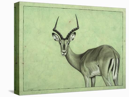 Impala-James W. Johnson-Stretched Canvas