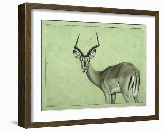 Impala-James W. Johnson-Framed Giclee Print