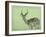 Impala-James W. Johnson-Framed Giclee Print