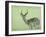 Impala-James W. Johnson-Framed Giclee Print