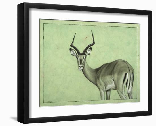 Impala-James W. Johnson-Framed Giclee Print