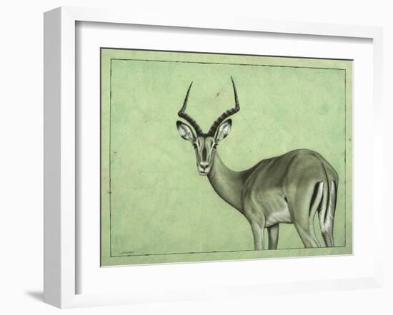 Impala-James W. Johnson-Framed Giclee Print