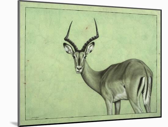 Impala-James W. Johnson-Mounted Giclee Print