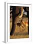 Impalas and Blurred Elephant Trunk-Paul Souders-Framed Photographic Print