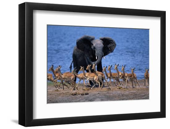 Premium Photographic Print, , large