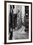 Impasse Des Bourdonnais, from Rue De La Limace, Paris, 1858-78-Charles Marville-Framed Giclee Print