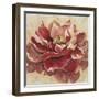 Impassioned-Studio M-Framed Art Print