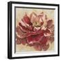 Impassioned-Studio M-Framed Art Print