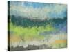 Impasto Field I-Jennifer Goldberger-Stretched Canvas