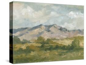 Impasto Landscape I-Ethan Harper-Stretched Canvas