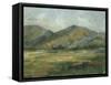 Impasto Landscape II-Ethan Harper-Framed Stretched Canvas