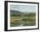 Impasto Landscape III-Ethan Harper-Framed Art Print