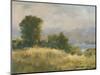 Impasto Landscape V-Ethan Harper-Mounted Art Print