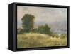 Impasto Landscape V-Ethan Harper-Framed Stretched Canvas