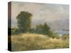 Impasto Landscape V-Ethan Harper-Stretched Canvas