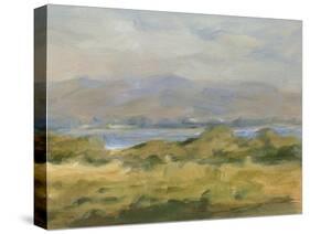 Impasto Landscape VI-Ethan Harper-Stretched Canvas