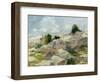 Impasto Mountainside I-Ethan Harper-Framed Art Print