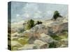 Impasto Mountainside I-Ethan Harper-Stretched Canvas