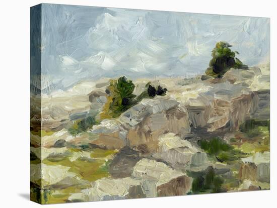 Impasto Mountainside I-Ethan Harper-Stretched Canvas