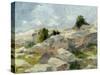 Impasto Mountainside I-Ethan Harper-Stretched Canvas