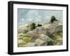 Impasto Mountainside I-Ethan Harper-Framed Art Print