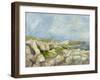 Impasto Mountainside IV-Ethan Harper-Framed Art Print