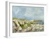 Impasto Mountainside IV-Ethan Harper-Framed Art Print