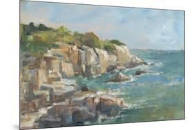 Impasto Ocean View I-Ethan Harper-Mounted Premium Giclee Print