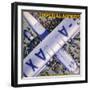 Imperial Airways Bird's Eye View-null-Framed Premium Giclee Print