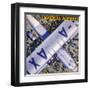 Imperial Airways Bird's Eye View-null-Framed Art Print