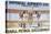 Imperial Airways Use Shell Petrol Exclusively Poster-null-Stretched Canvas