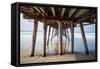 Imperial Beach Pier-Lee Peterson-Framed Stretched Canvas